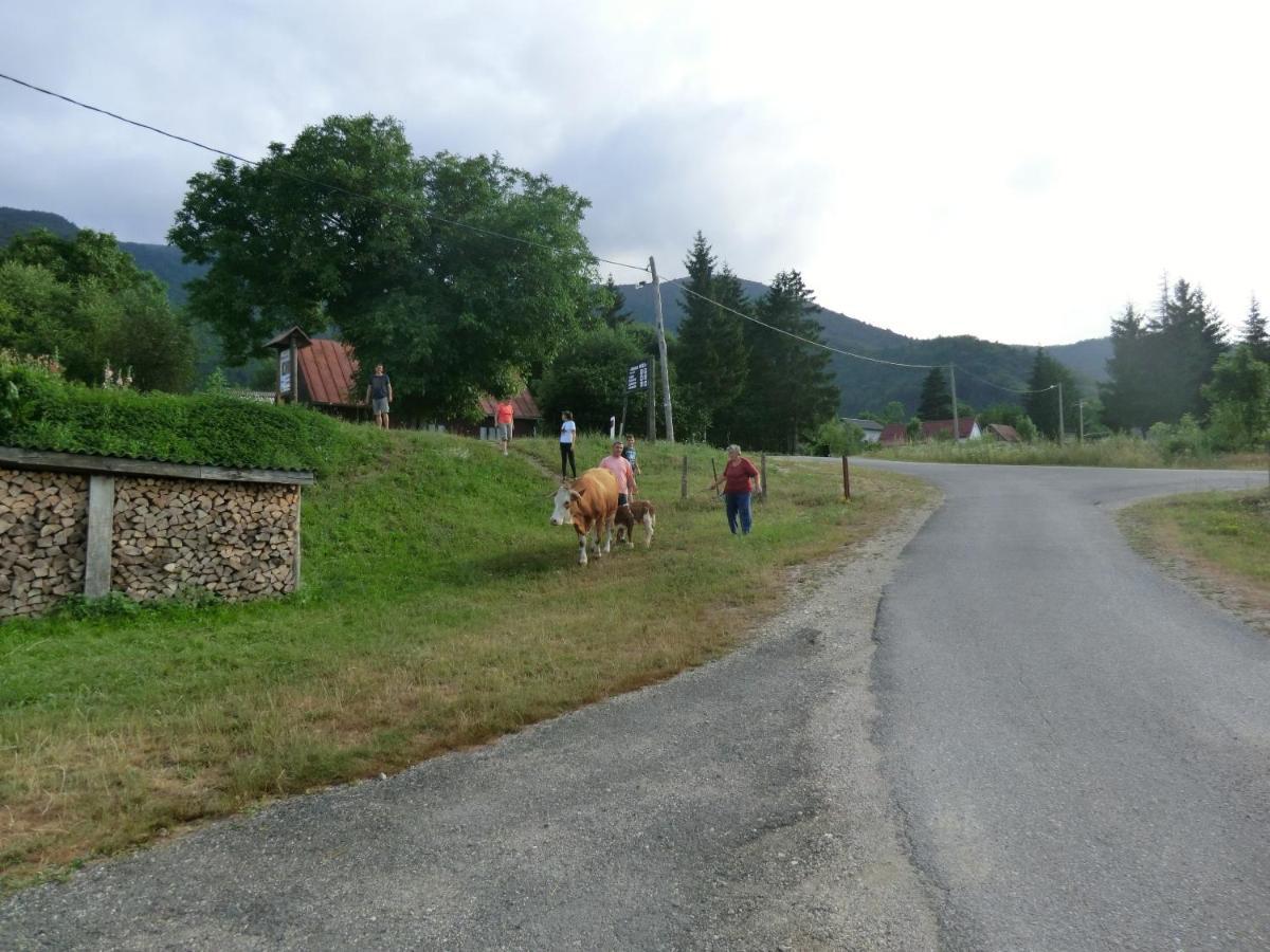 Ethno House Izvor Ξενοδοχείο Vrelo Koreničko Εξωτερικό φωτογραφία