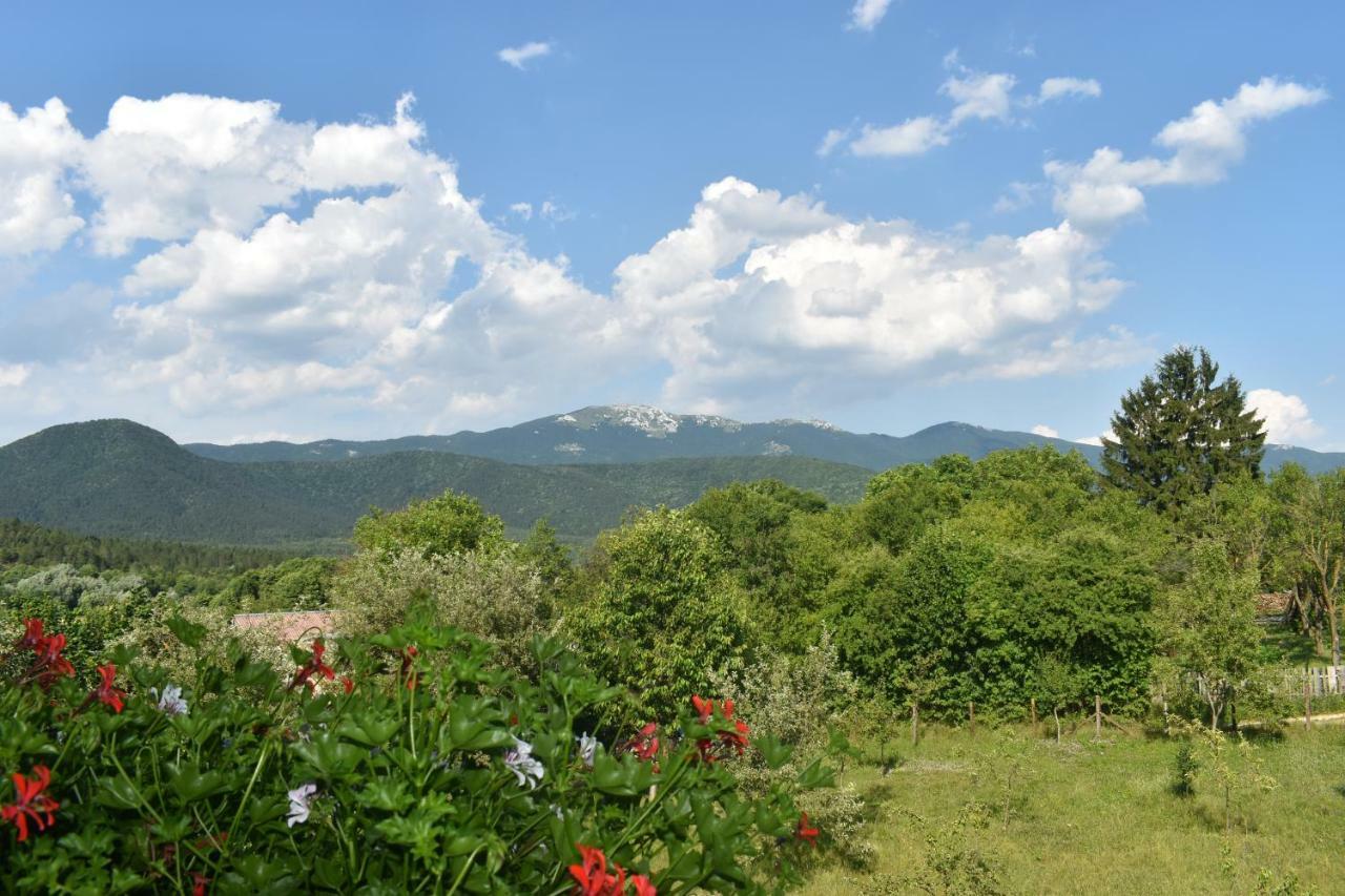 Ethno House Izvor Ξενοδοχείο Vrelo Koreničko Εξωτερικό φωτογραφία